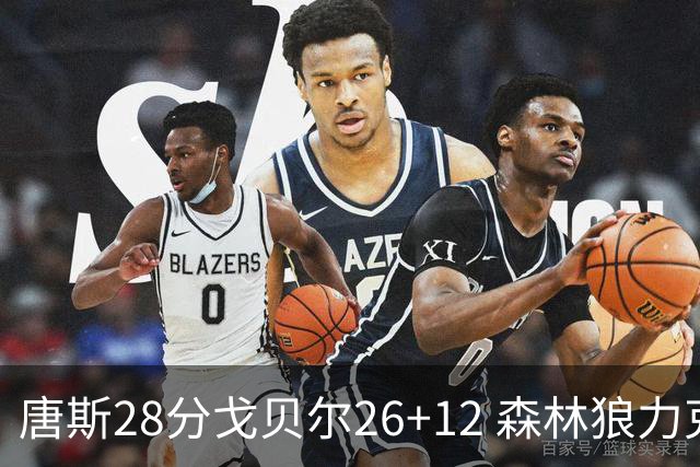 唐斯28分戈贝尔26+12 森林狼力克黄蜂4连胜