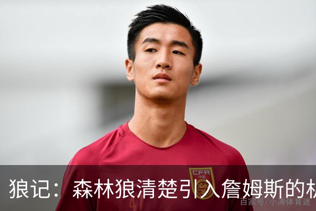 狼记：森林狼清楚引入詹姆斯的机会微乎其微 但他们积极主动招募