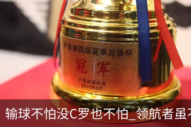 输球不怕没C罗也不怕 领航者虽不在葡萄牙未来仍可期