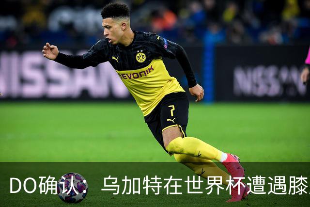 DO确认：乌加特在世界杯遭遇膝盖韧带重伤，预计面临长期缺阵